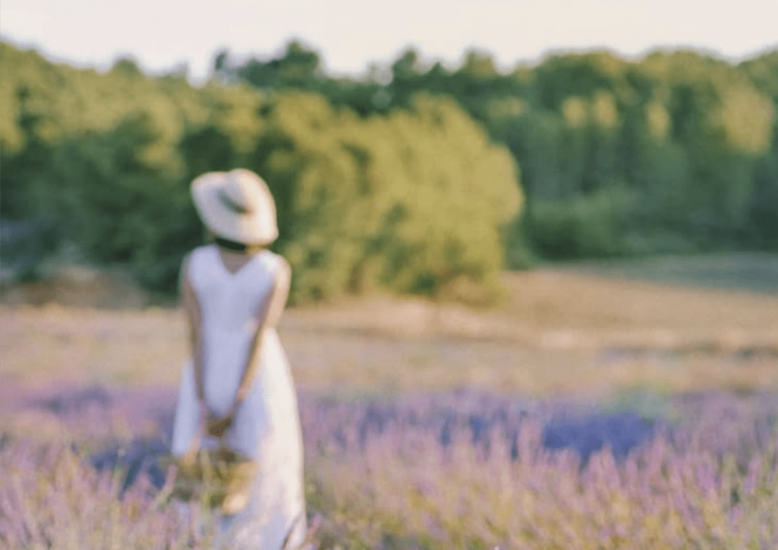 Brunch Balade en Provence