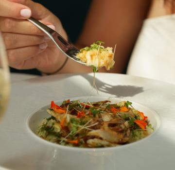 MENU ÉPICURIEN & MENU GOURMET : DEUX EXPÉRIENCES À DÉCOUVRIR