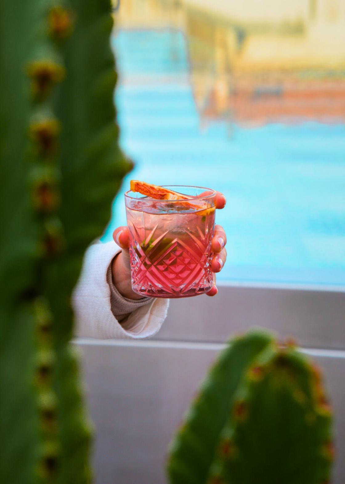 Epicurean Sunset: our live music fridays at the Roof