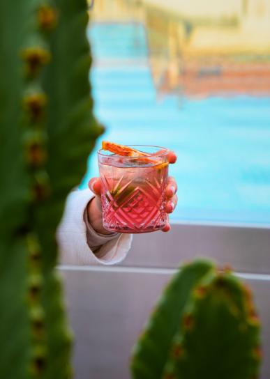 Epicurean Sunset: our live music fridays at the Roof