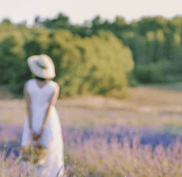 Brunch Balade en Provence