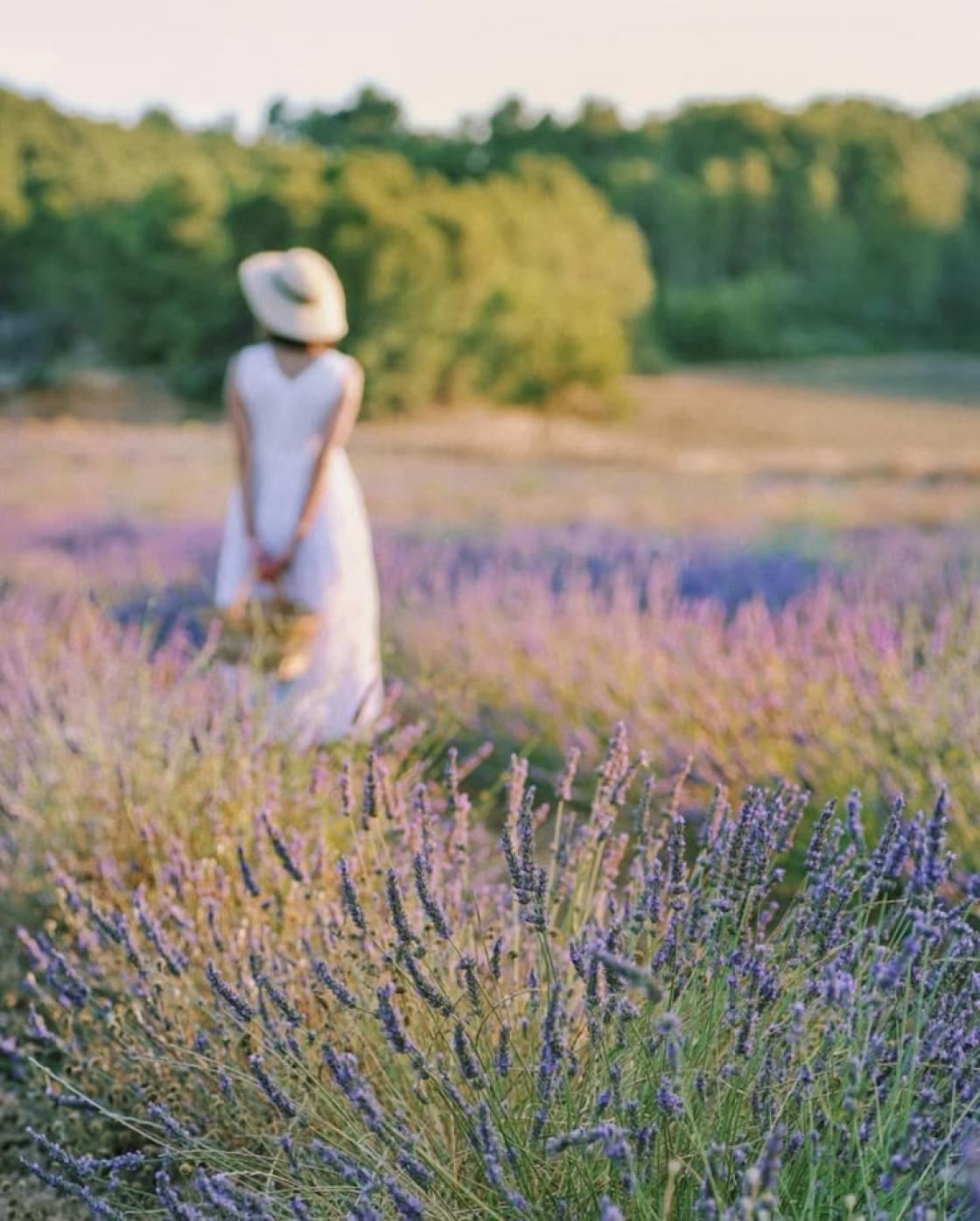 Sunday Brunch – A stroll through Provence