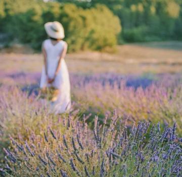 Sunday Brunch – A stroll through Provence